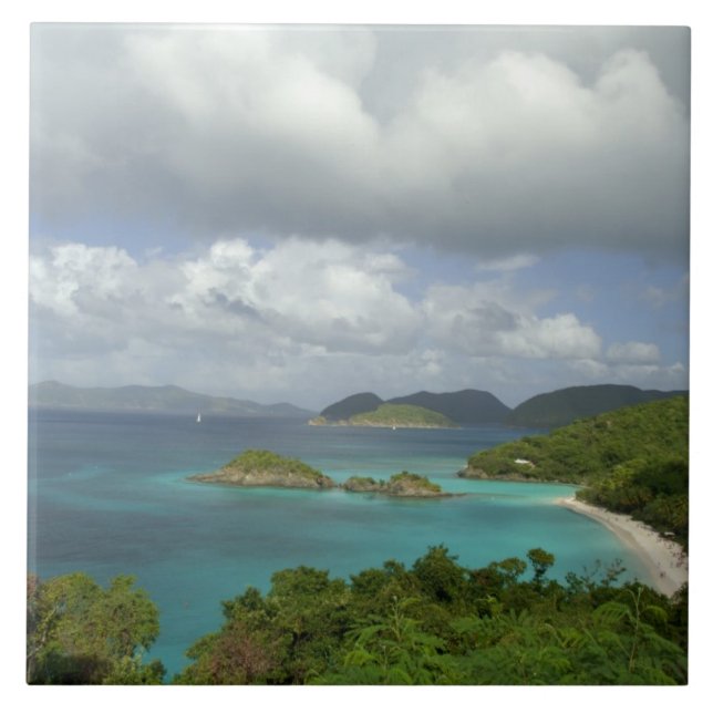 Carreau Caraïbes, îles Vierges américaines, St. John, Trun (Devant)