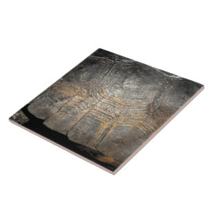 Carreau Carapace de Tortue Gopher