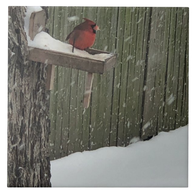 Carreau Cardinal (Devant)