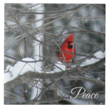 Cardinal dans la neige