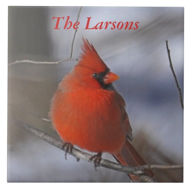 Carreau Cardinal de Noël (Devant)