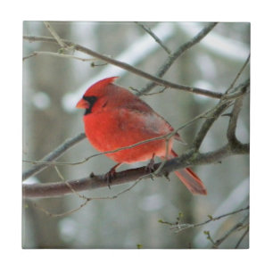 Carreau Cardinal rouge vif Cardinal Cardinal Cardinal