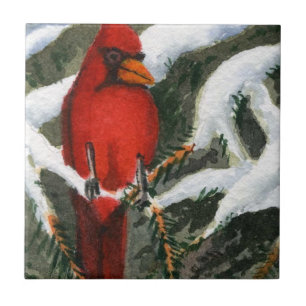 Carreau Cardinal rouge vif dans un pin couvert de neige