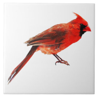 Carreau Cardinal(s)