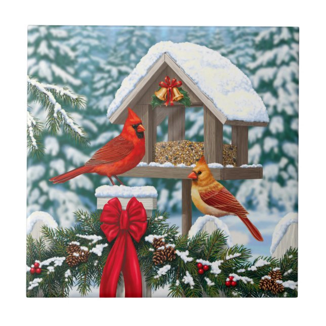 Carreau Cardinaux et mangeoire de Noël (Devant)