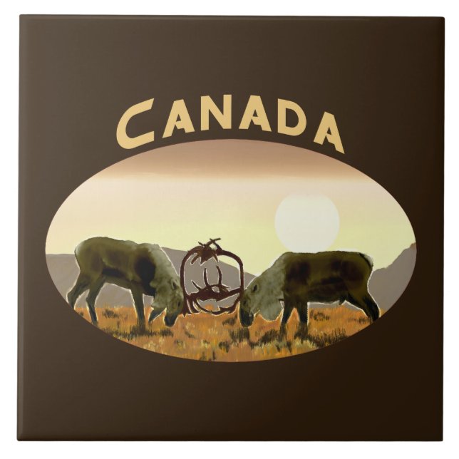 Carreau Caribou Duel - Canada (Devant)