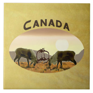 Carreau Caribou Duel - Canada
