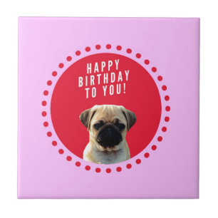 Carreau Carlin mignon Chien Chien Heureux Anniversaire Chi
