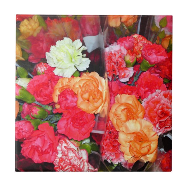 Carreau Carnation Carnation (Devant)