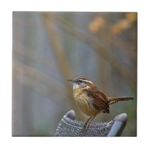 Carolina en céramique
