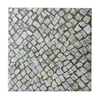Carreau Carré Cobblestone Rock Motif avec mousse verte