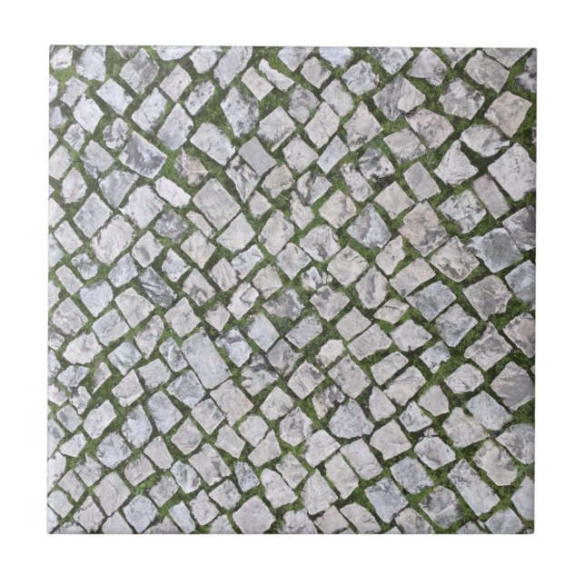 Carreau Carré Cobblestone Rock Motif avec mousse verte (Devant)