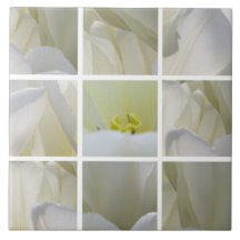 Carré de tulipes blanches
