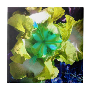 Carreau Carrelage à fleurs en fer jaune, blanc et vert