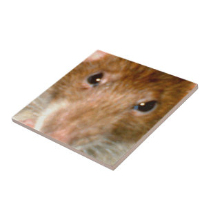 Carreau Carrelage à visage de rat mignon