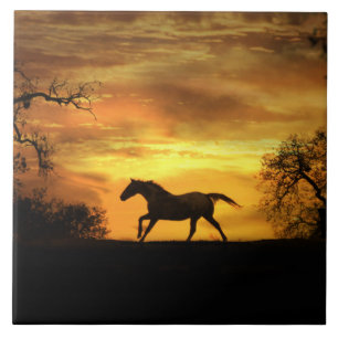 Carreau Carrelage artistique Cheval au galop au coucher du