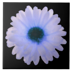 Carreau Carrelage blanc et bleu Marigold