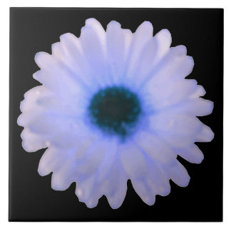 Carreau Carrelage blanc et bleu Marigold