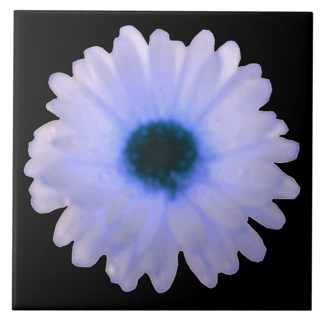 Carreau Carrelage blanc et bleu Marigold (Devant)