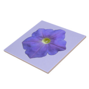 Carreau Carrelage bleu Petunia