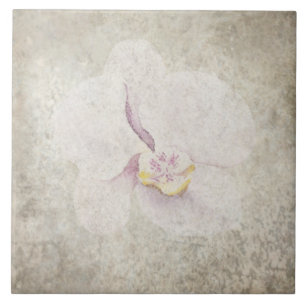 Carreau Carrelage botanique vieilli - Aqua et os V5