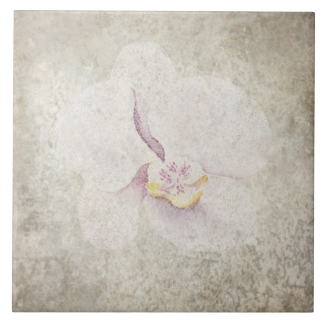 Carreau Carrelage botanique vieilli - Aqua et os V5 (Devant)