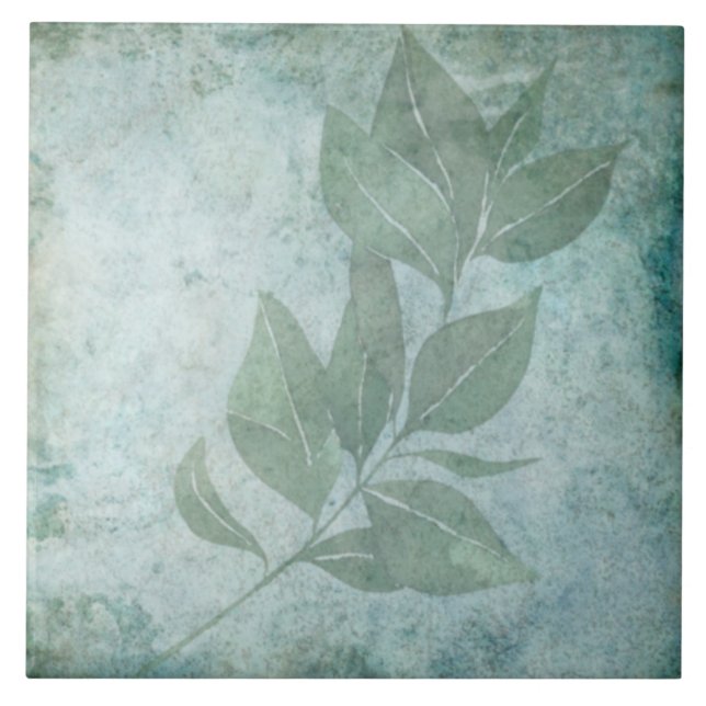 Carreau Carrelage botanique vieilli - Aqua et os V6 (Devant)