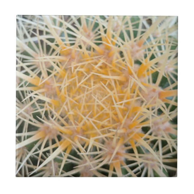 Carreau Carrelage Cactus (Devant)