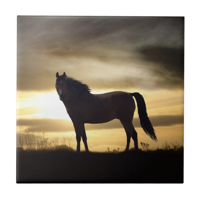 Carreau Carrelage cadeau Sunset Horse SIlhouette (Devant)