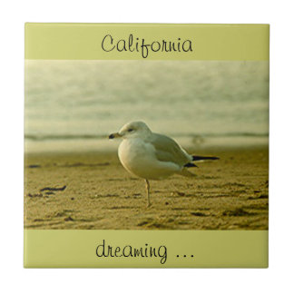 Carreau Carrelage - Californie rêvant ...