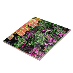 CARREAU CARRELAGE, CARRELAGE DÉCORATIF "COLORÉ"