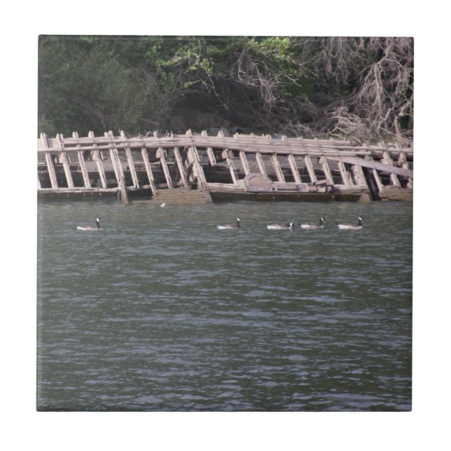 Carreau Carrelage céramique de la rivière Sacramento (Devant)