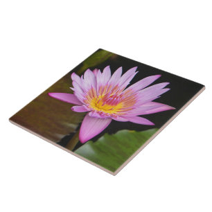 CARREAU CARRELAGE CÉRAMIQUE / LOTUS ROSE BLOSSOM/CENTRE JA