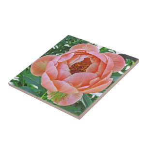 CARREAU CARRELAGE CÉRAMIQUE / TRIVET AVEC PEONNE ROSE