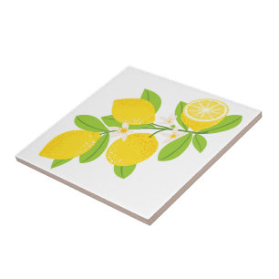Carreau Carrelage céramique/Trivet-Lemons Carrelage cérami