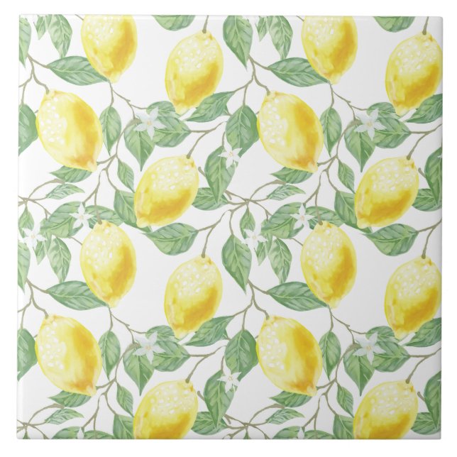 Carreau Carrelage céramique/Trivet-Lemons Carrelage cérami (Devant)