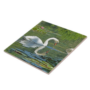 CARREAU CARRELAGE CÉRAMIQUE/TRIVET, "SWAN ON LILY POND"