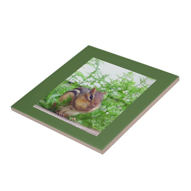 Carreau Carrelage Chipmunk (Côté)