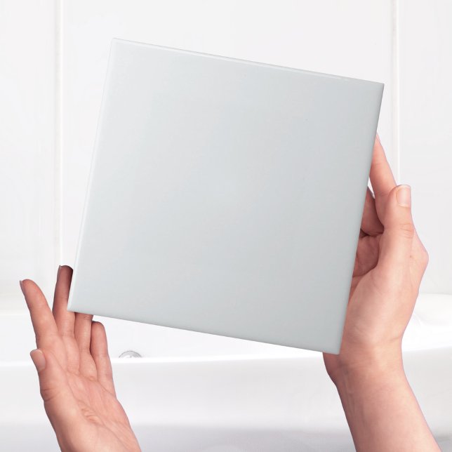 Carreau Carrelage clair simple moderne gris clair (simple and modern clean light grey ceramic tiles for bathroom or kitchen floors and walls)