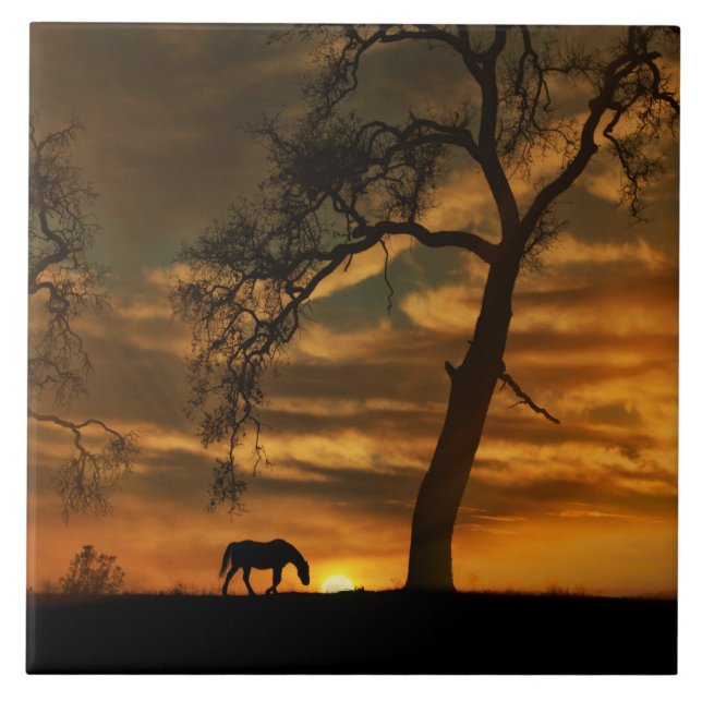 Carreau Carrelage d'art (Devant)