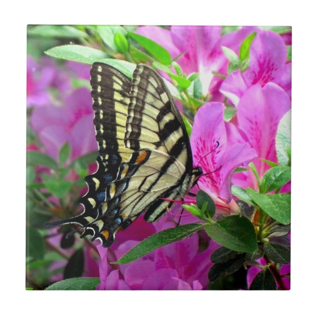 Carreau Carrelage d'art (Devant)