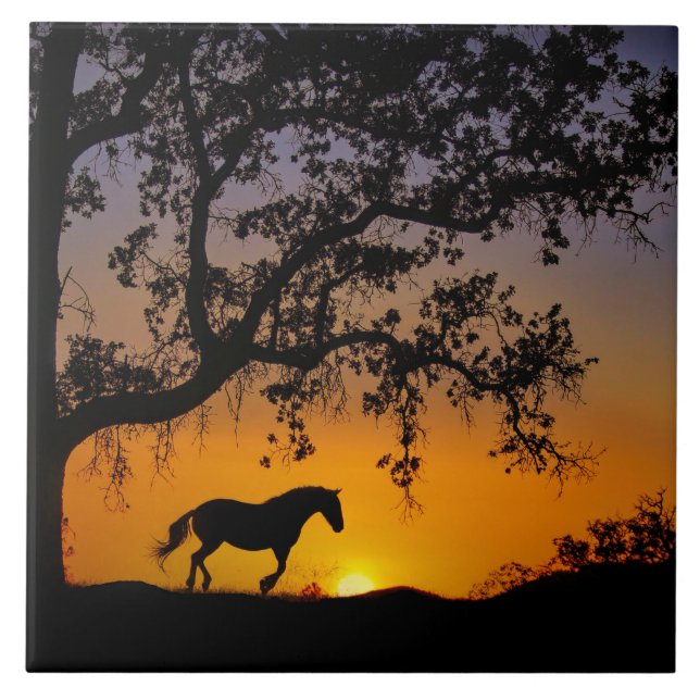 Carreau Carrelage d'art Cheval et Oak Tree (Devant)