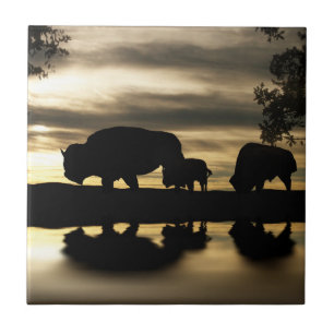 Carreau Carrelage d'art du sud-ouest