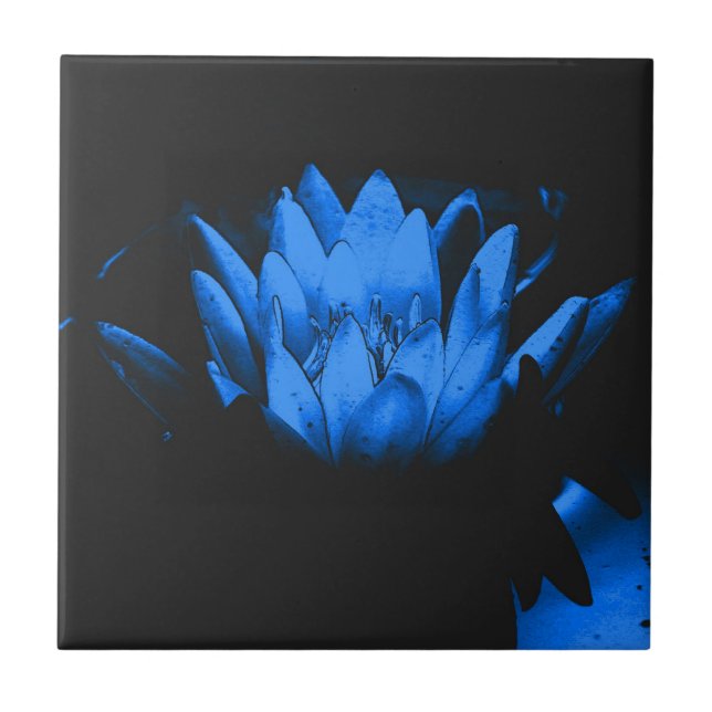 Carreau Carrelage d'art floral Lotus bleu brillant (Devant)