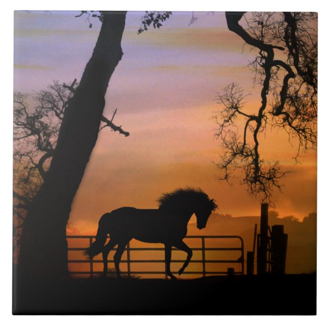 Carreau Carrelage d'art pour Cheval Whimsical, Joli Sud-Ou (Devant)