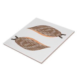 Carreau Carrelage de boues