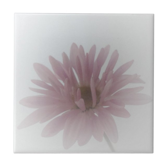 Carreau Carrelage de brume de marais (Devant)