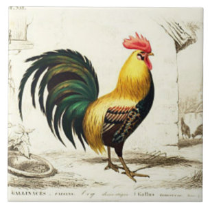 Carreau Carrelage de décoration de maison à coq vintage Pa
