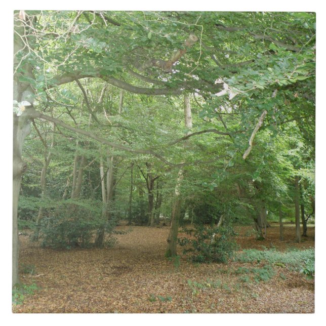 Carreau Carrelage de défrichement des bois (Devant)