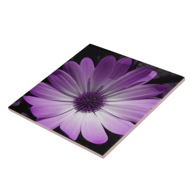 Carreau Carrelage de Fleur De Fleur De Faisée Violette (Côté)